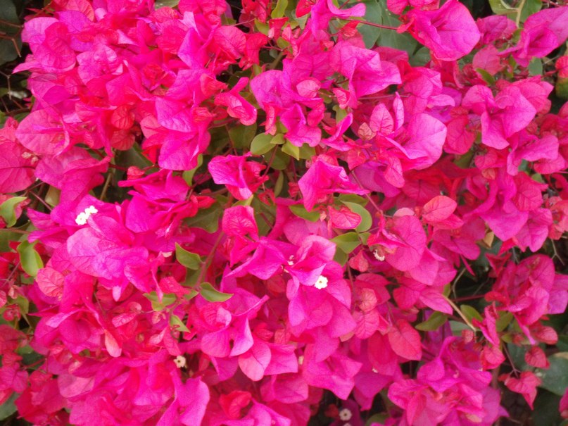 Артем Бараненко | Полтава