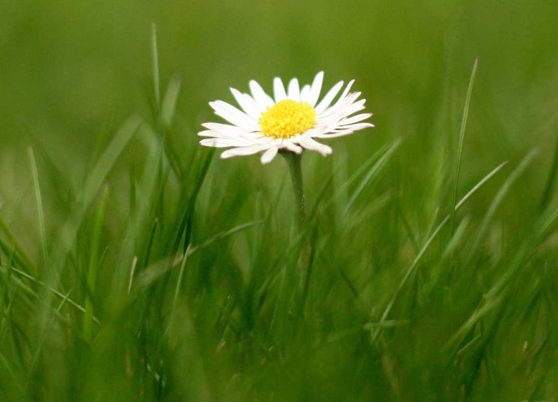 Гульнар Латыпова | Москва