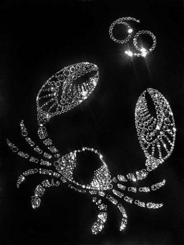 №11, Паша Иванов №11, Паша Иванов