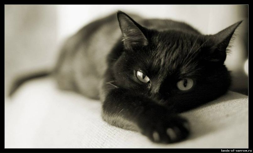 Региночка Гирфанова | Уфа