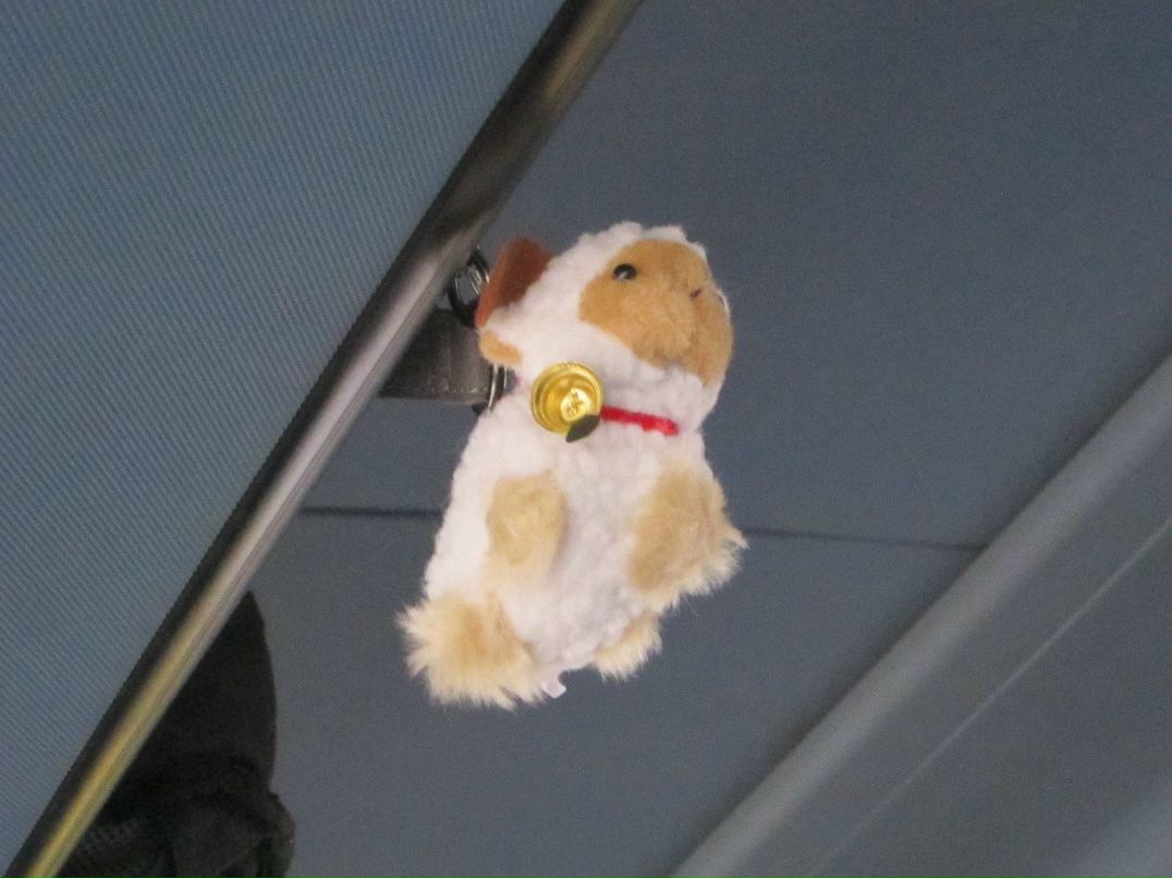 Маша Андреева | Петах Тиква