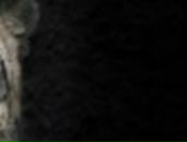 Олег Зубанков | Волгоград