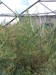 Стас Сорочинский фотография #26 (источник - https://vk.com/id42163773)