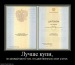 Руслан Хисаметдинов фотография #41