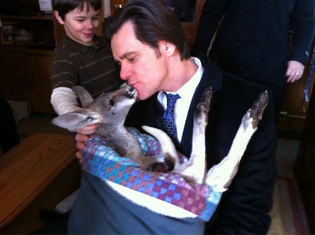 Вадим Олехов | Санкт-Петербург