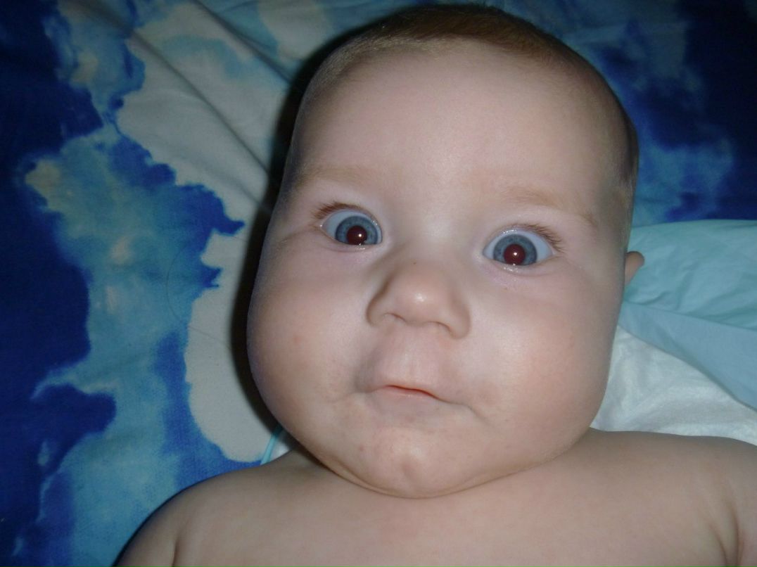 Антон Сморчков 