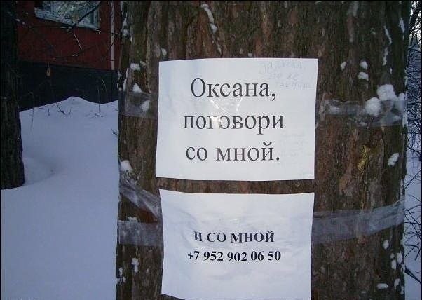 Лоя Правдивая | Днепр (Днепропетровск)