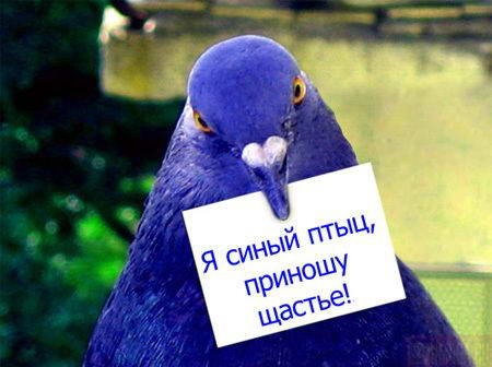 №118, Во Ва, 105 лет, Киев №118, Во Ва, 105 лет, Киев