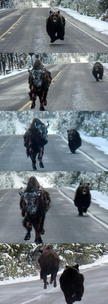 Manic Panic Aleksandrovich | Мурманск