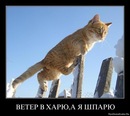 Владимир Толокнов, Новосибирск, Россия, 