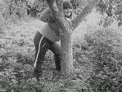 Фотография Аня Иванова