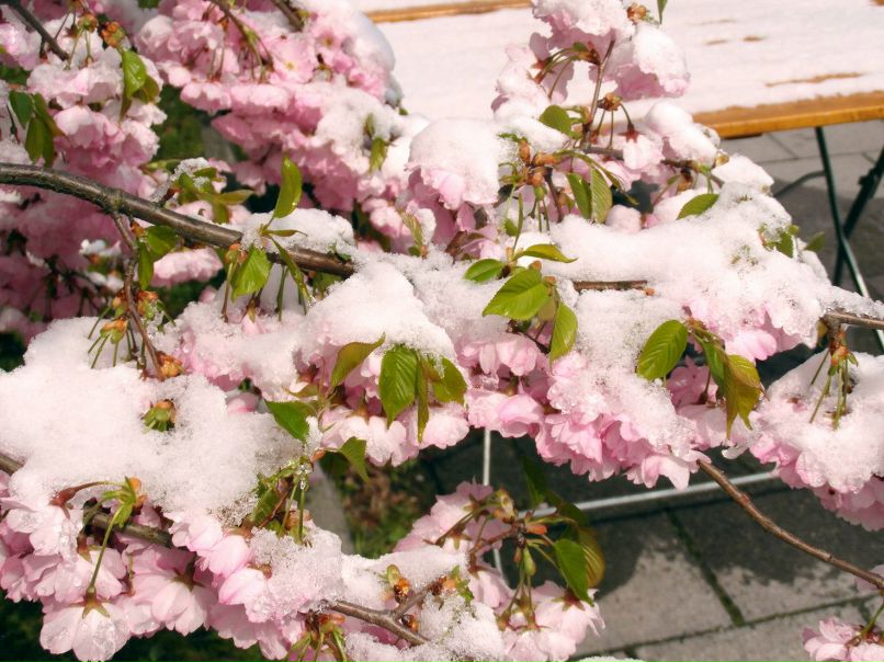 Irina Solovei | Санкт-Петербург