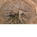 №88, Алина Деревянко, Харьков №88, Алина Деревянко, Харьков