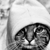 Аватар: Игорь Мальченко