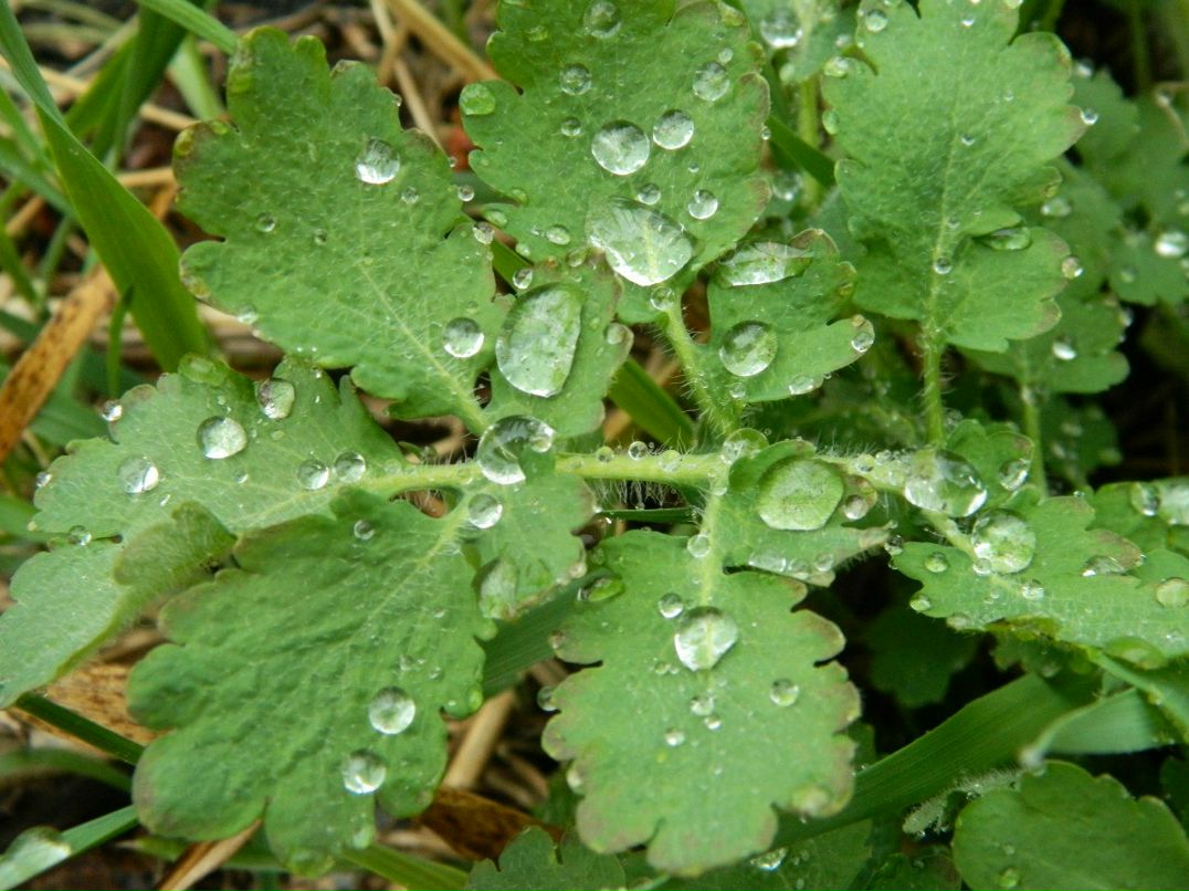 Виталий Михалюк | Киев