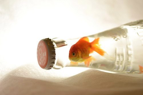 Александр Кузнецов Викторович | Санкт-Петербург