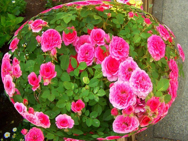 №122, Наташа Соколянская, 29 лет, Макеевка №122, Наташа Соколянская, 29 лет, Макеевка