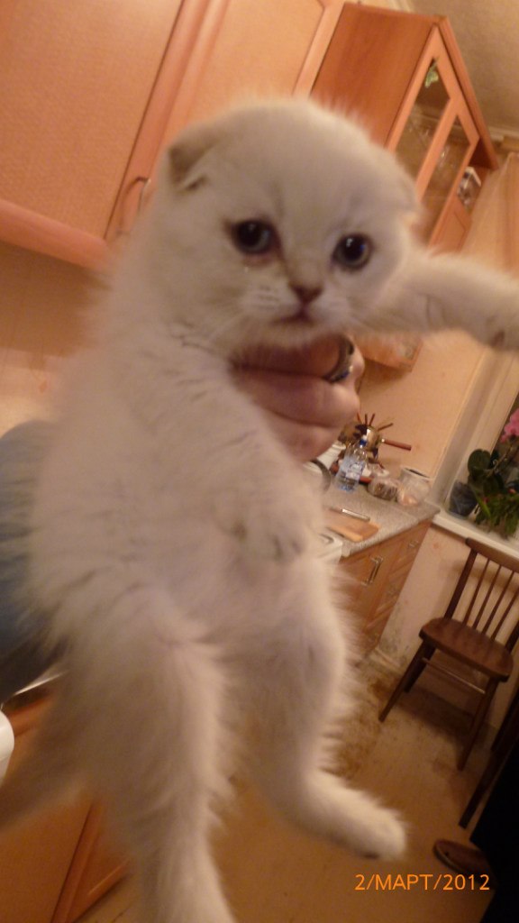 Жанна Авдонина | Уварово