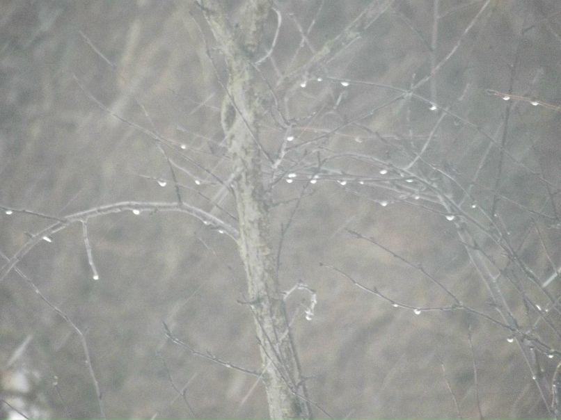 Дарья Груздева | Санкт-Петербург