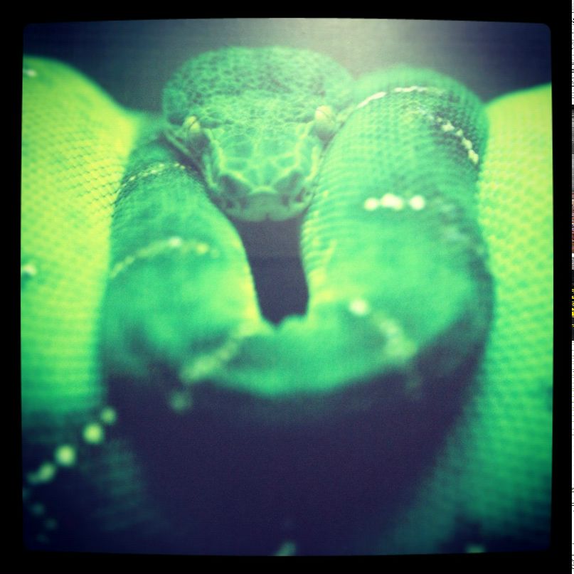 Константин Беспалый КОСТЯ БЕС | Реутов