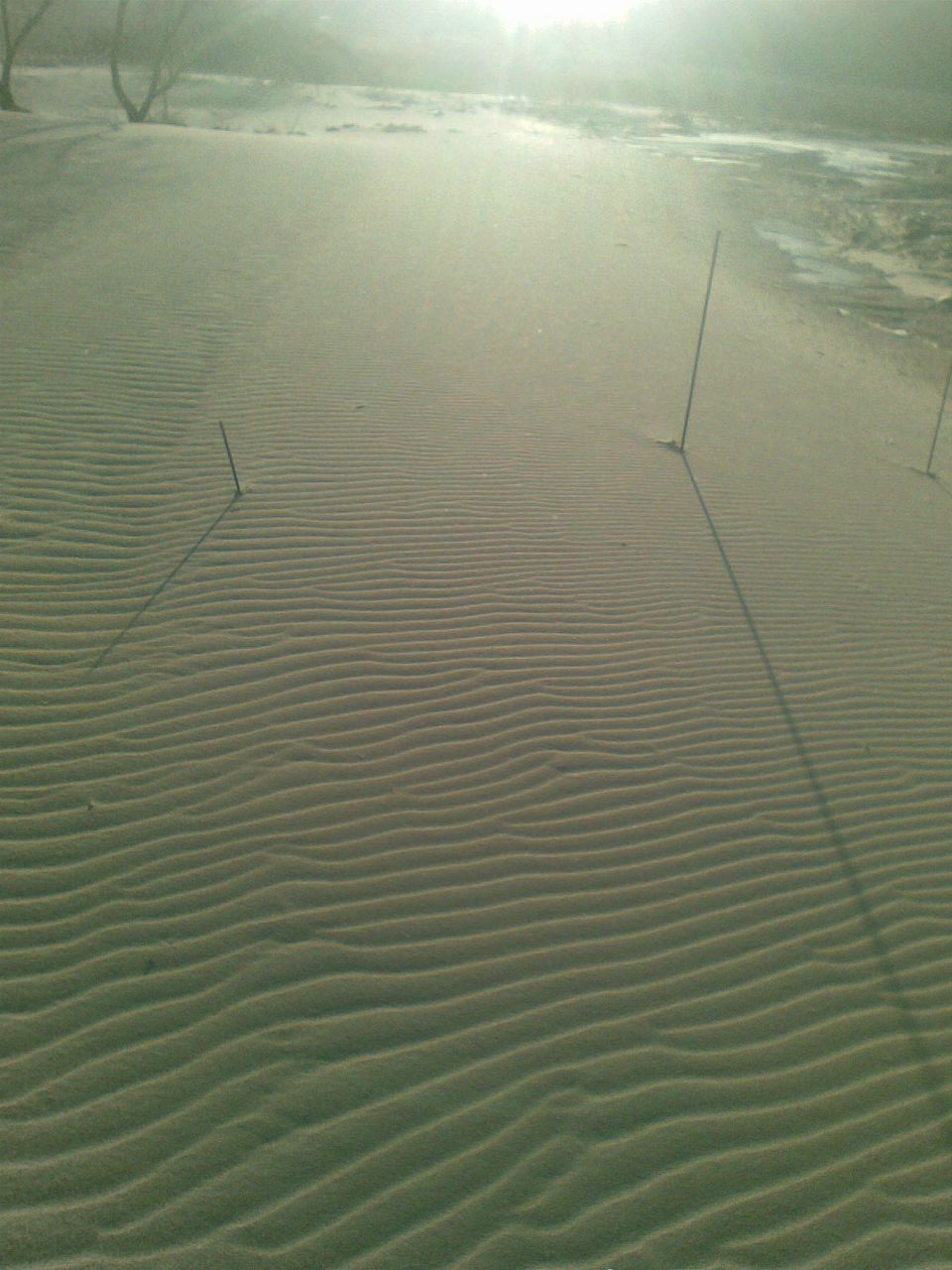 Евгений Рашковский | Одесса