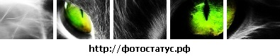 №22, Ваня Бакумов, 9.1 №22, Ваня Бакумов, 9.1