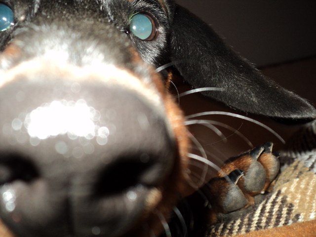 Маша Свиридова | Минск