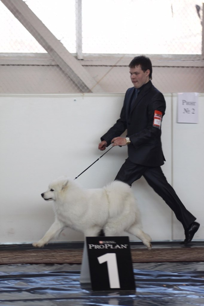 Егор Смолдырев | Иннополис