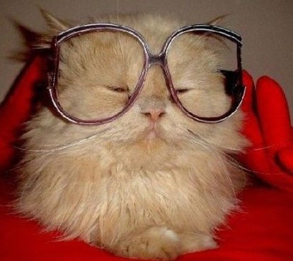 Михаил Чекмарев | Москва