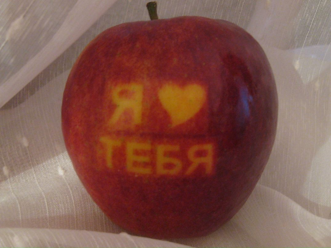 Вера Зарипова | Казань