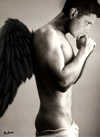 Александр Сокольник | Санкт-Петербург