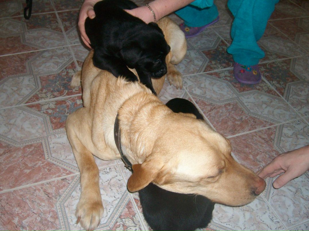 Никита Редькин Сергеевич | Армянск