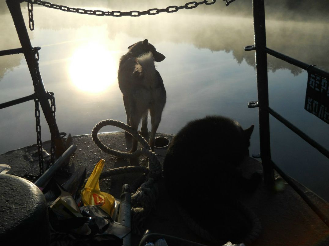 Марина Гудкова | Санкт-Петербург