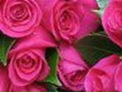 Elena Sloush | Санкт-Петербург