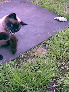 Наталья Киселёва | Москва