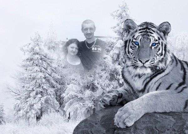 Svetlana Levitskaya lana | 