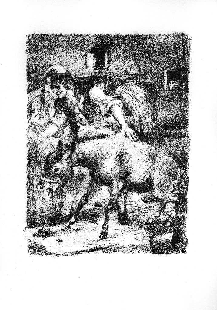 Арсений Андрианов | Санкт-Петербург