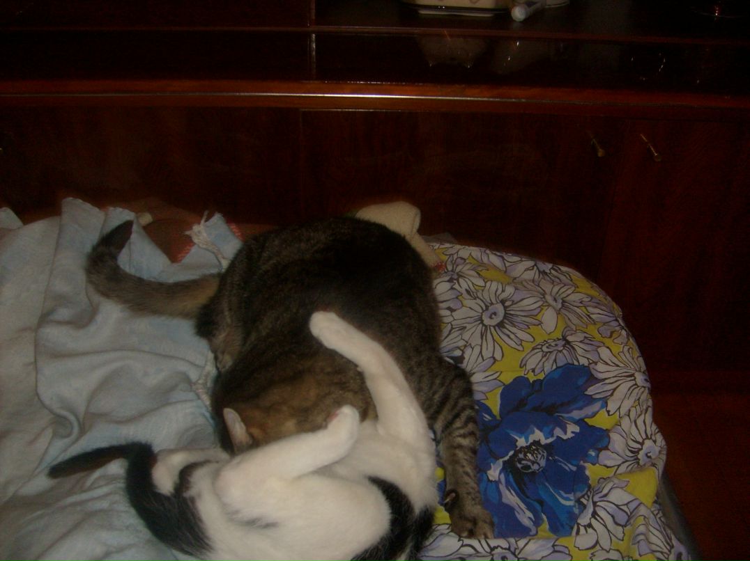 Павел Кривцов | Краснодар