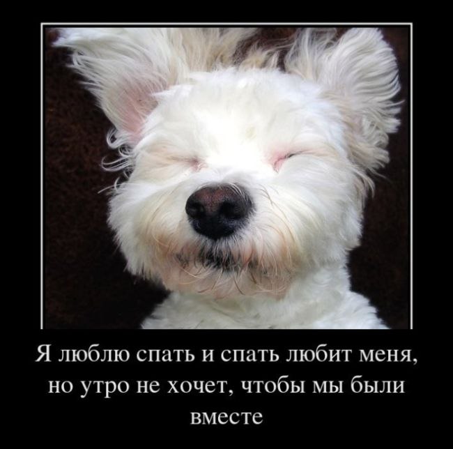 Нина Гилимханова | Москва