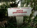№22 Александра Стародумова 28.02.1978: профиль, фото, статус - ВКонтакте