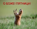 №16 Мария Куманеева