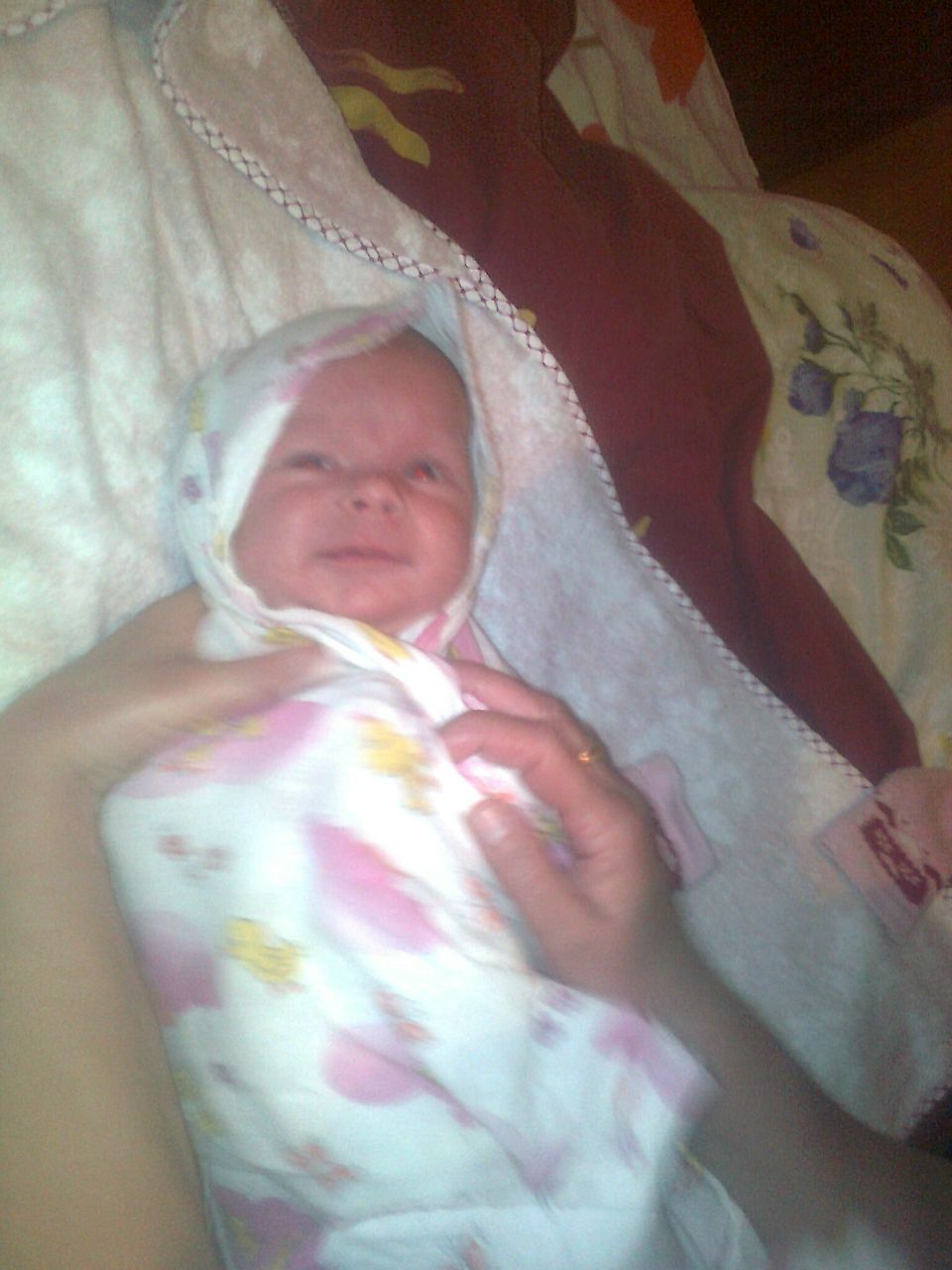 Димон Исаев | Зеленый Гай