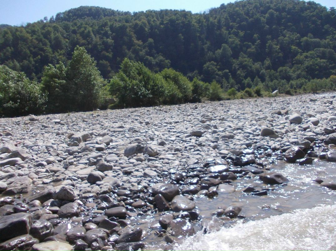 Дима Кондратьев | Пермь