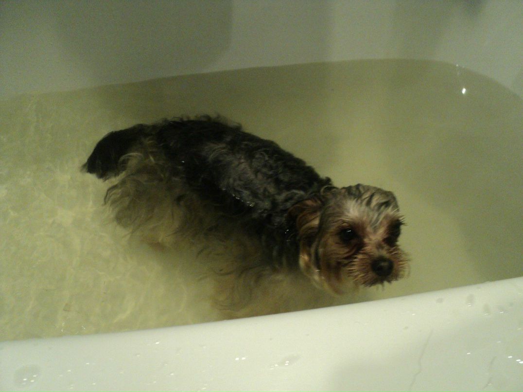 Аркадий Макрушин | Санкт-Петербург