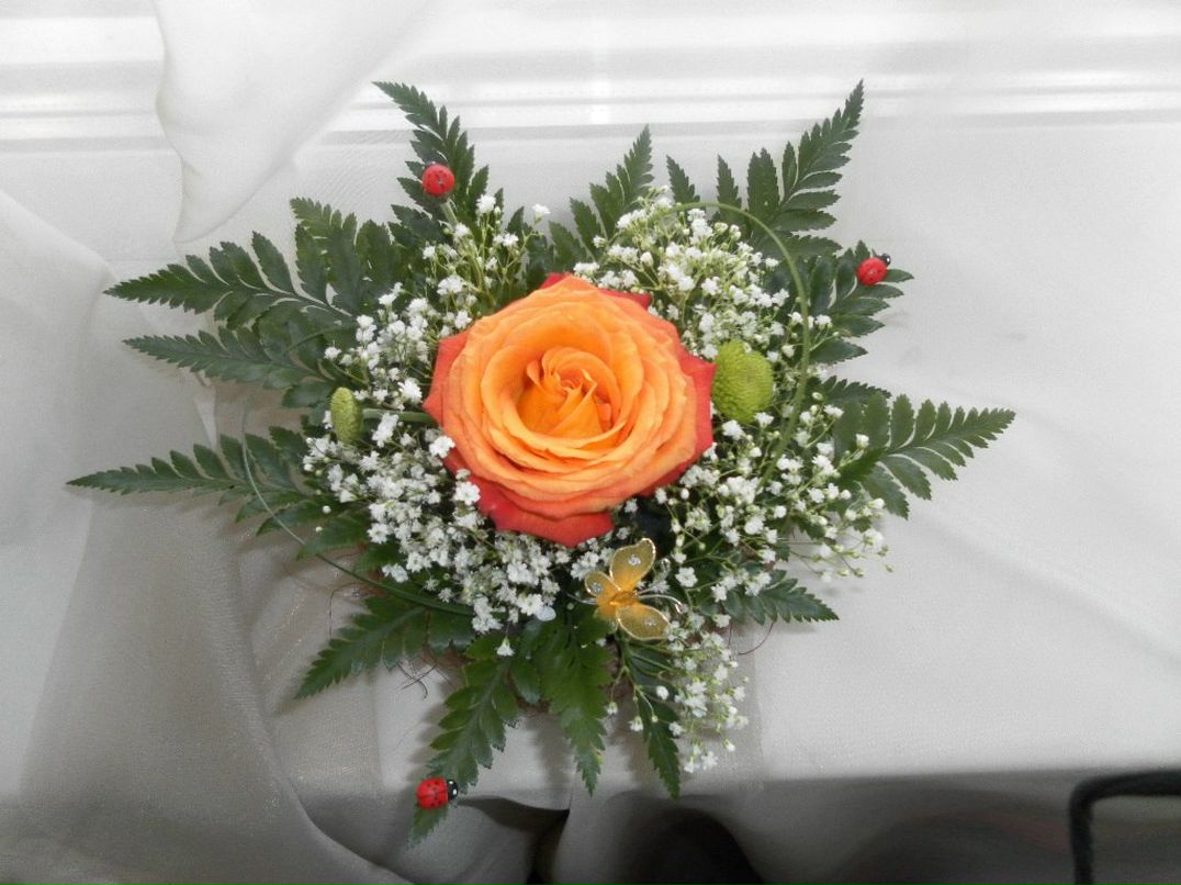 Анна Сафонова | Новосибирск