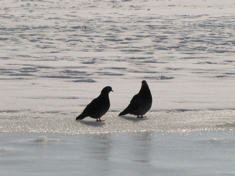 Любовь Галкина | Новороссийск