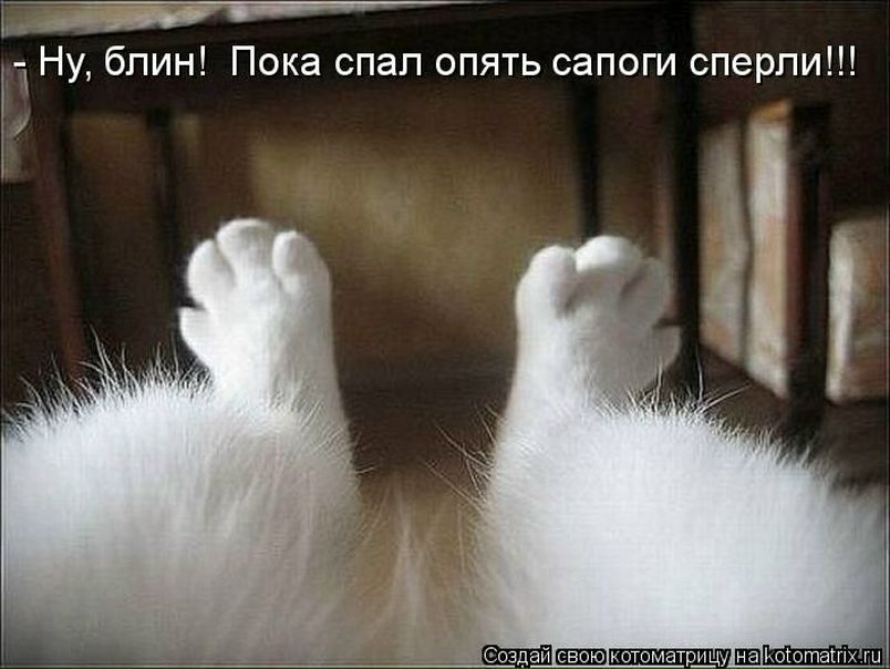 №43, Алёна Зубкова, 36 лет, Киев №43, Алёна Зубкова, 36 лет, Киев