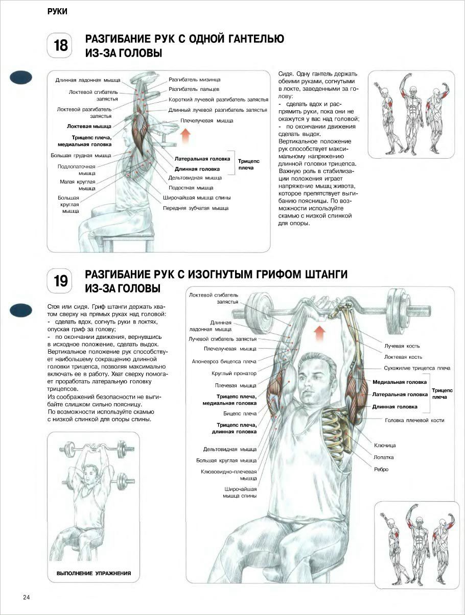 Александр Тюленёв | Санкт-Петербург