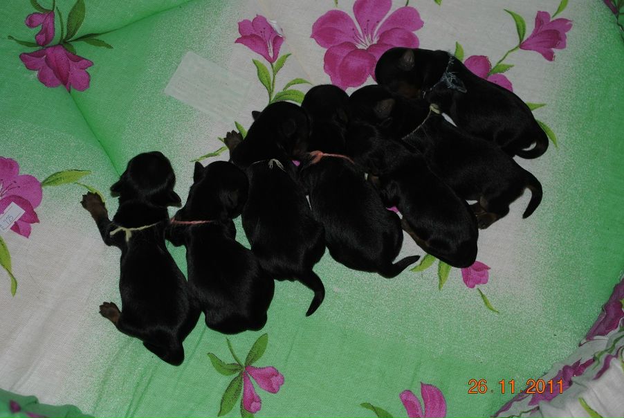 №61, Ольга Петелина, 51 год, Санкт-Петербург №61, Ольга Петелина, 51 год, Санкт-Петербург