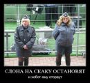 №29 Анна Калашникова : профиль, фото, статус - ВКонтакте №29 Анна Калашникова : профиль, фото, статус - ВКонтакте